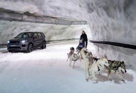 Discovery Sport Goes Racing Against... Dogs