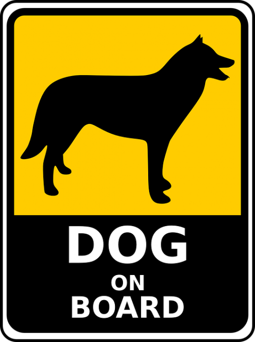 dog-158380_960_720-506x679