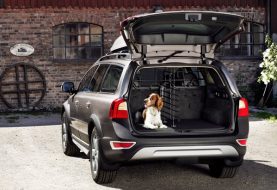 What Pet Owners Need to Look for When Buying a Car