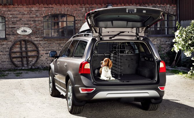What Pet Owners Need to Look for When Buying a Car