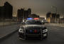 What NOT to do When Being Pulled Over