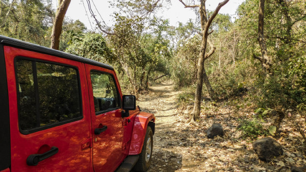 Jeep-a-boo: Camp Jeep