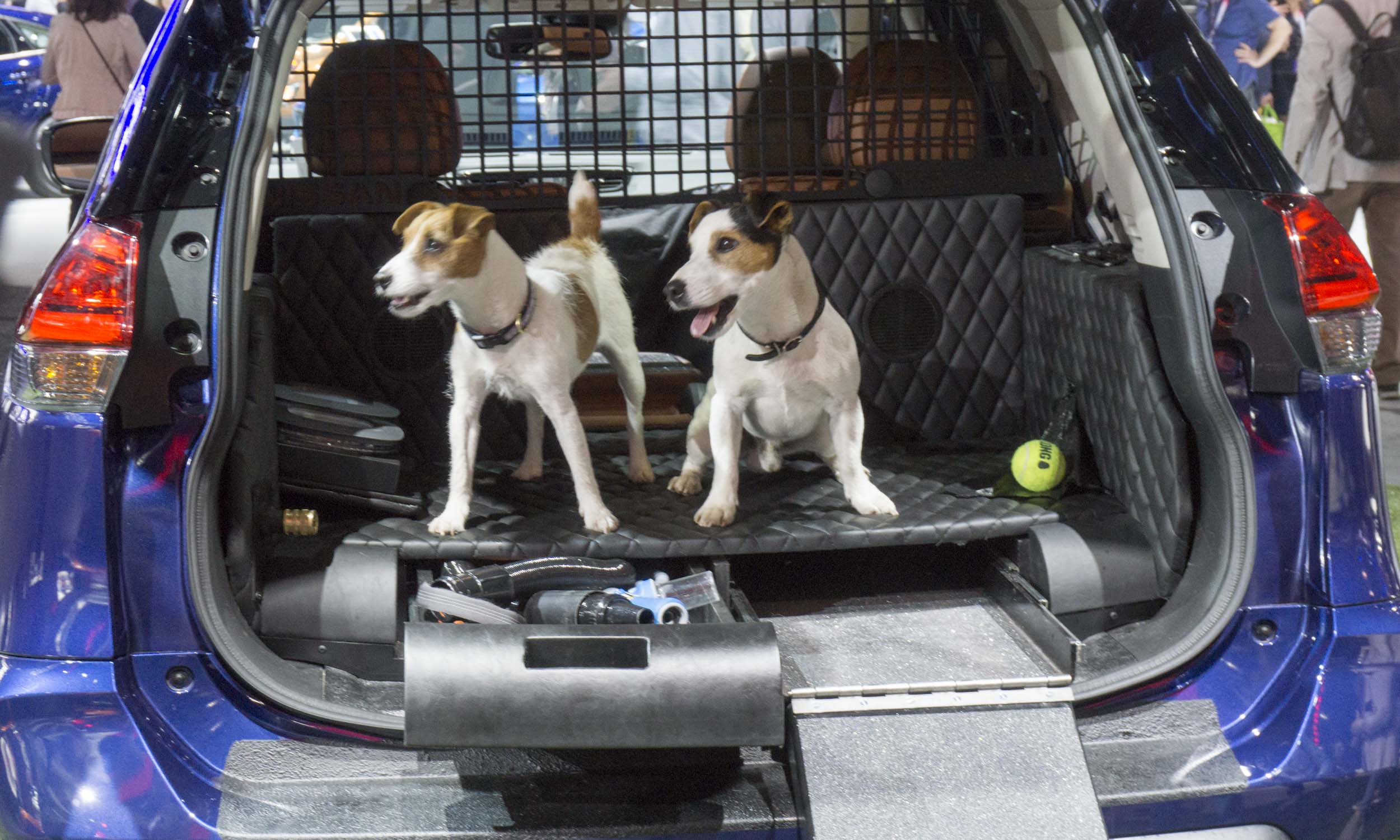 Top Concepts Cars of 2017