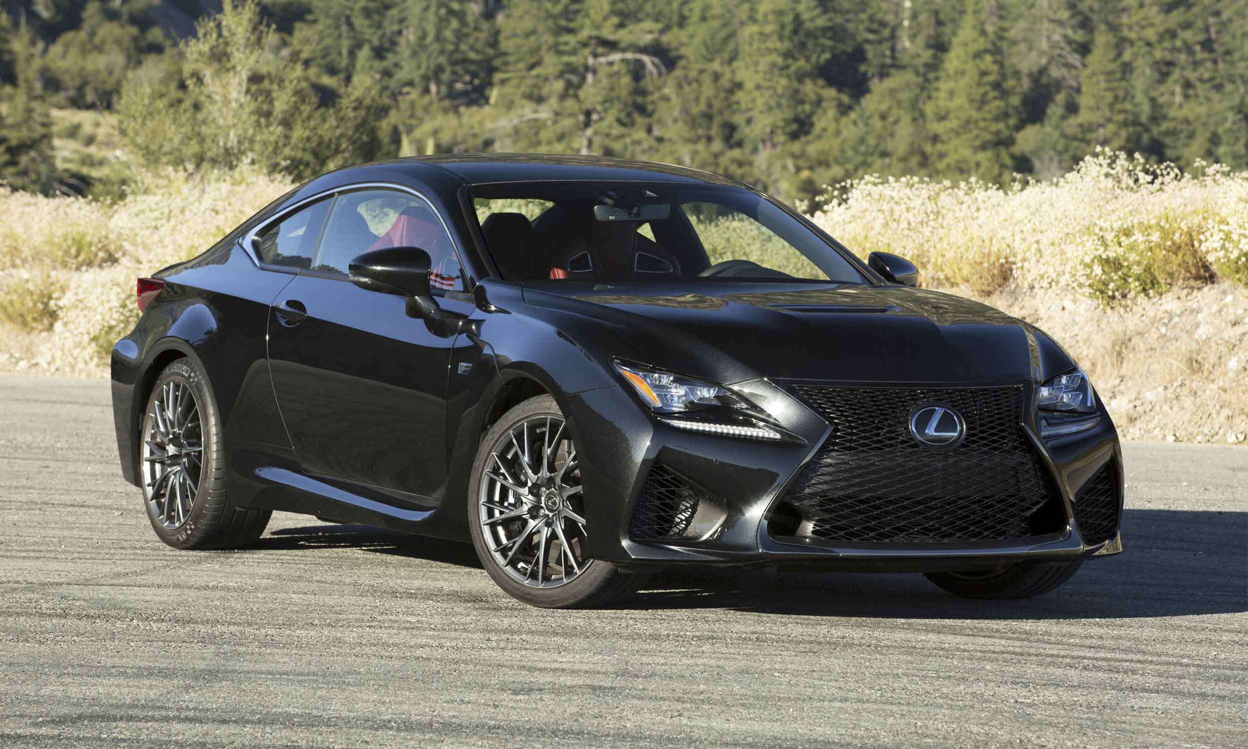 Fuel-Efficient High-Performance Cars