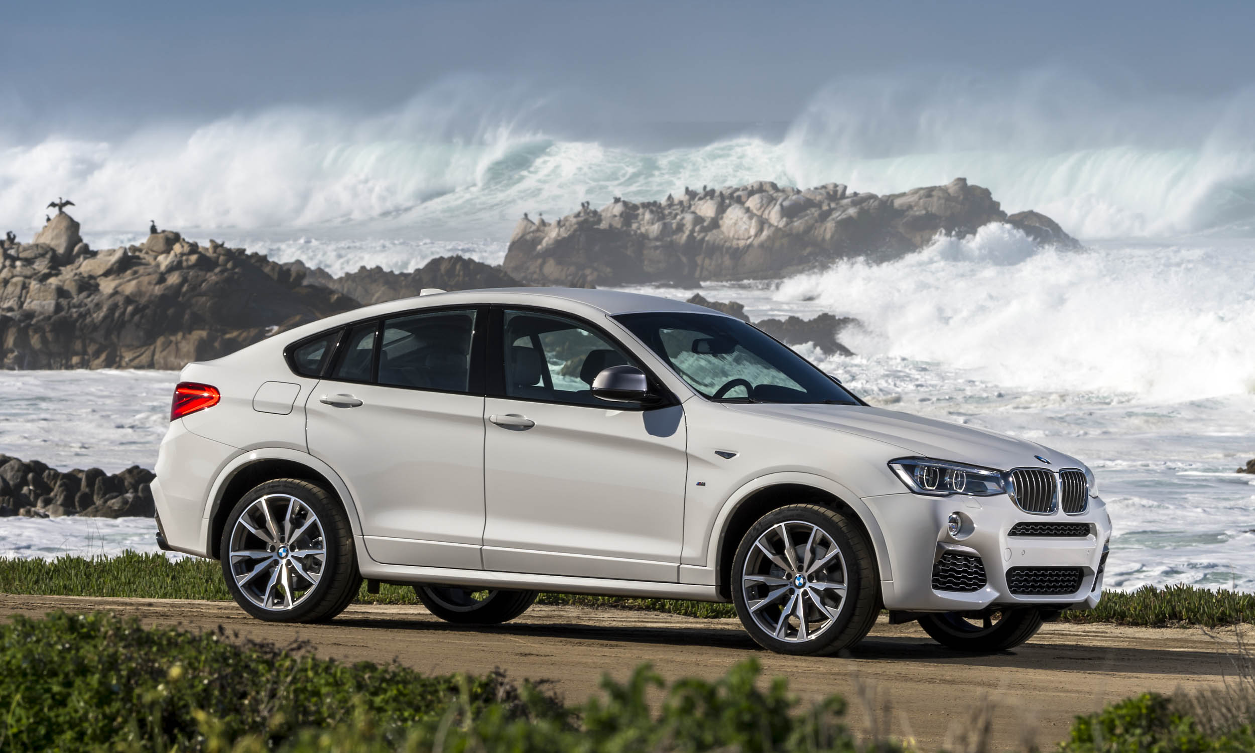 Fuel-Efficient High-Performance Cars