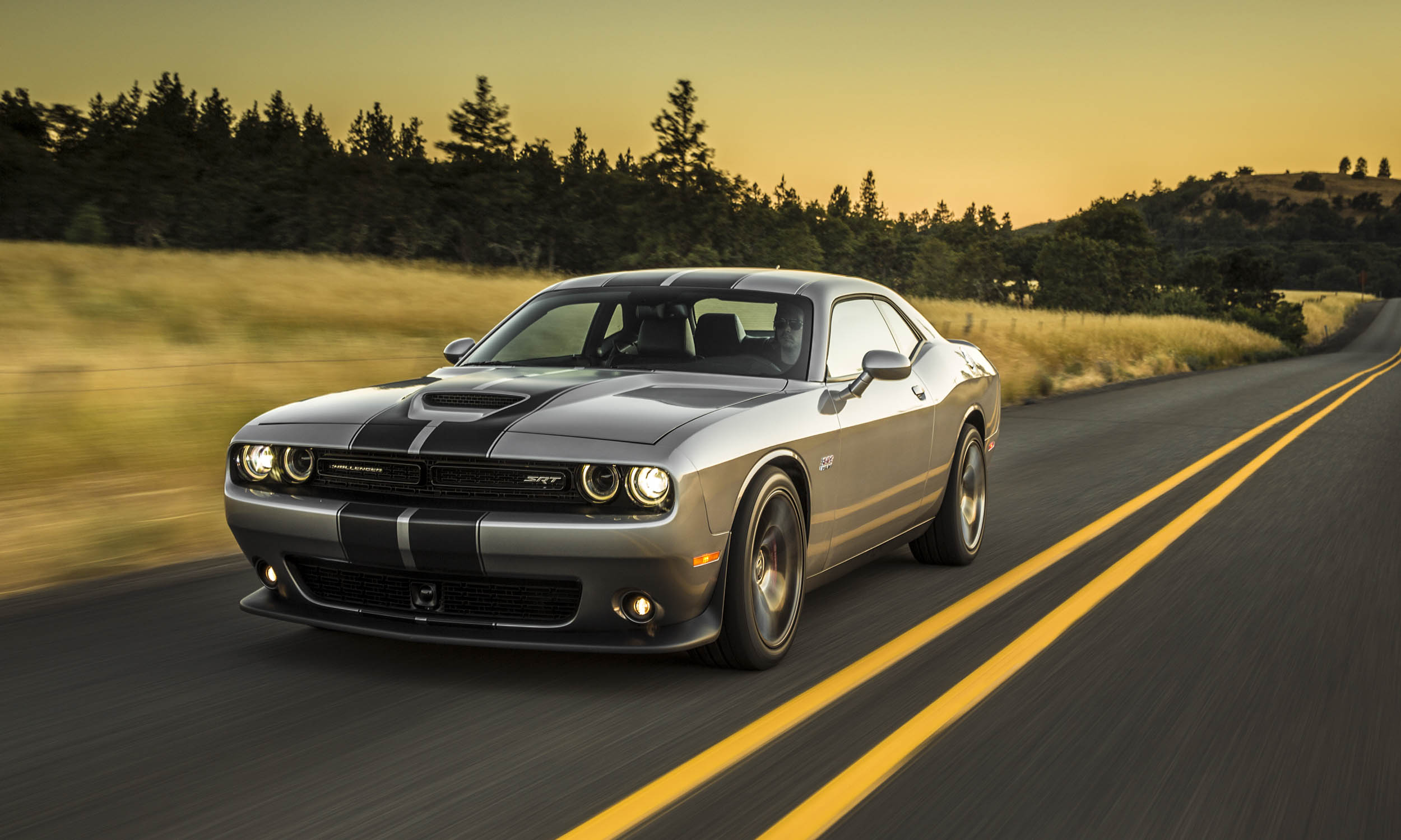 Fuel-Efficient High-Performance Cars