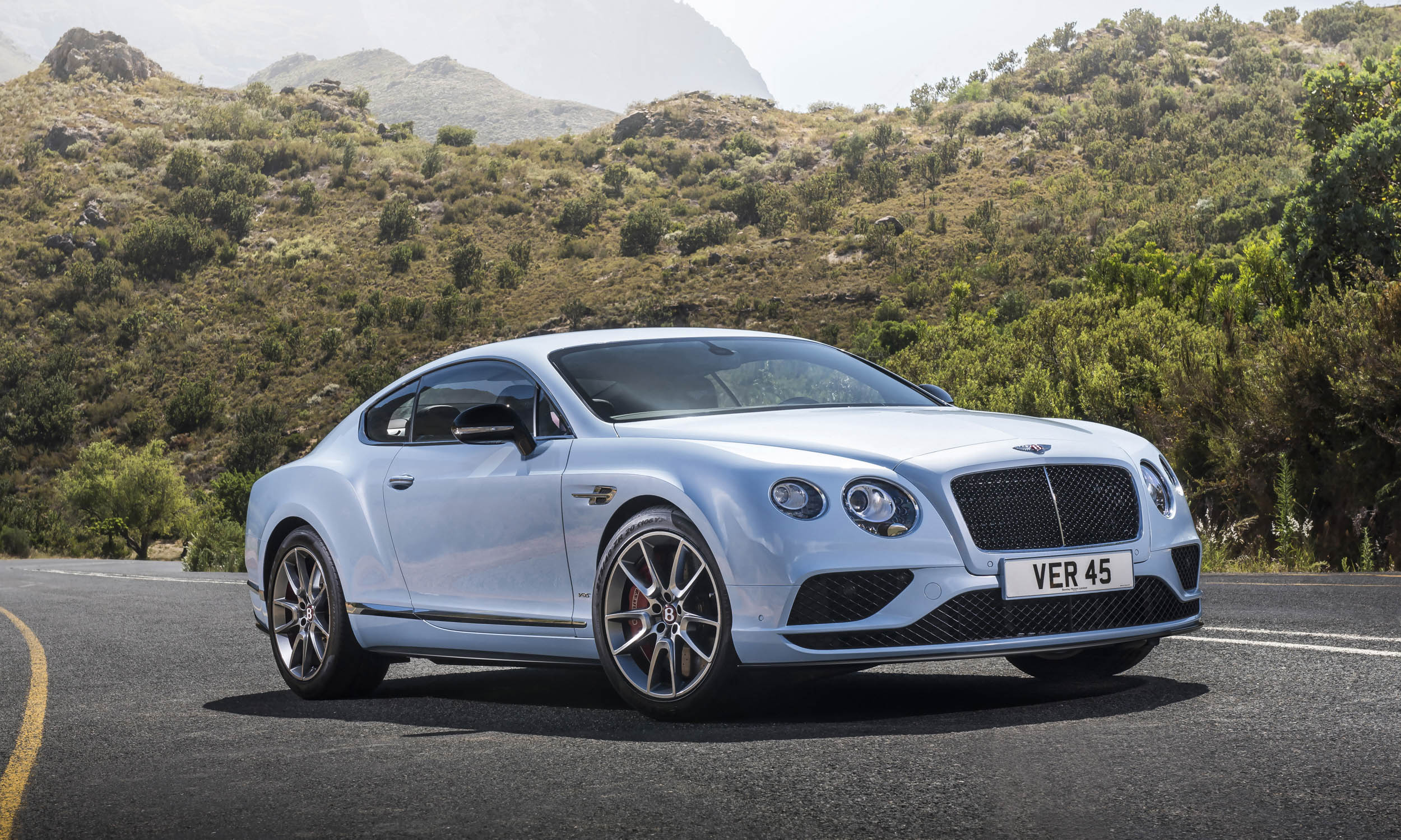 Fuel-Efficient High-Performance Cars