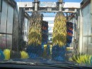 How to Remove Dead Bugs off Your Car